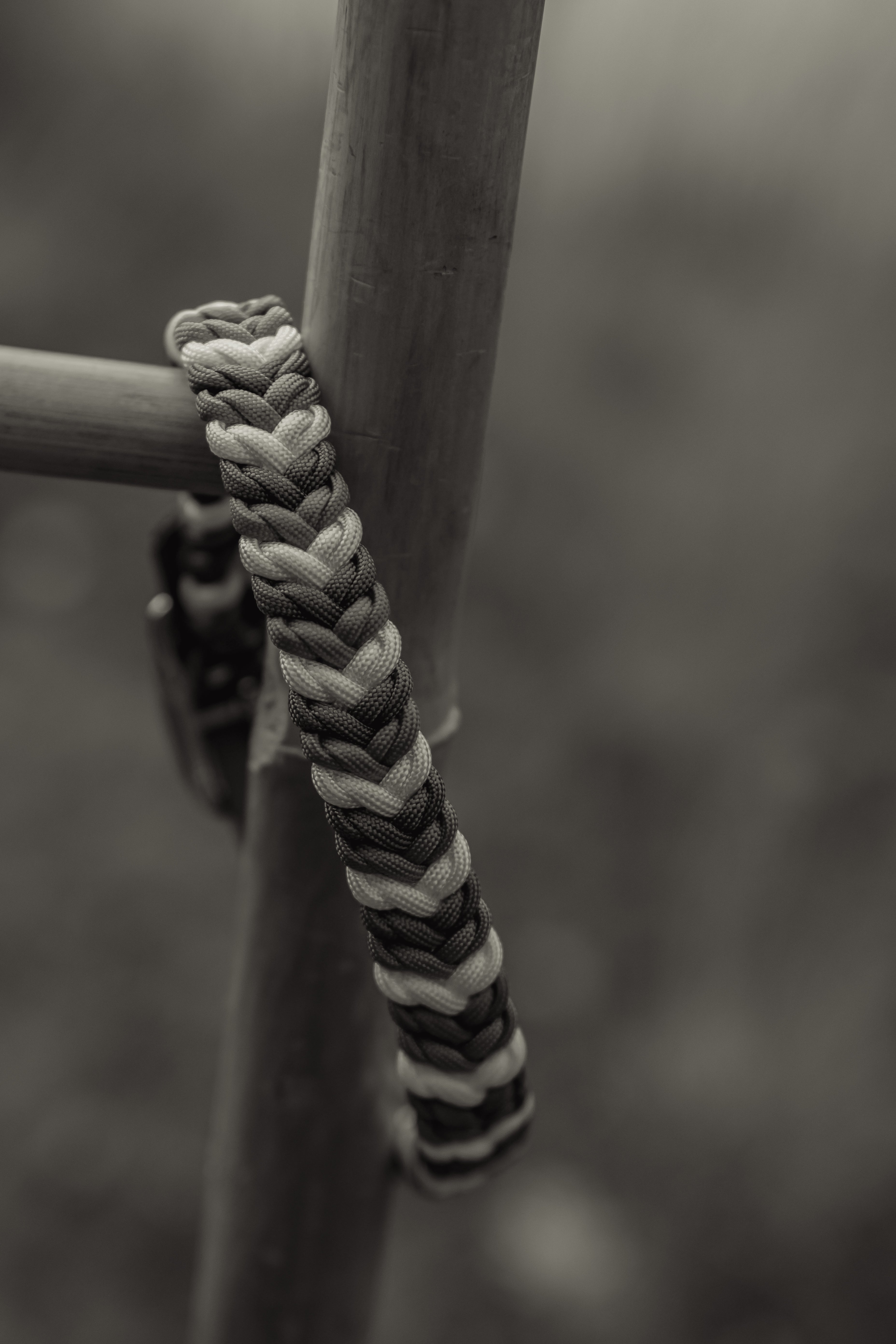 Paracord Halsband "Tricolore" (ca. 2,5cm breit)