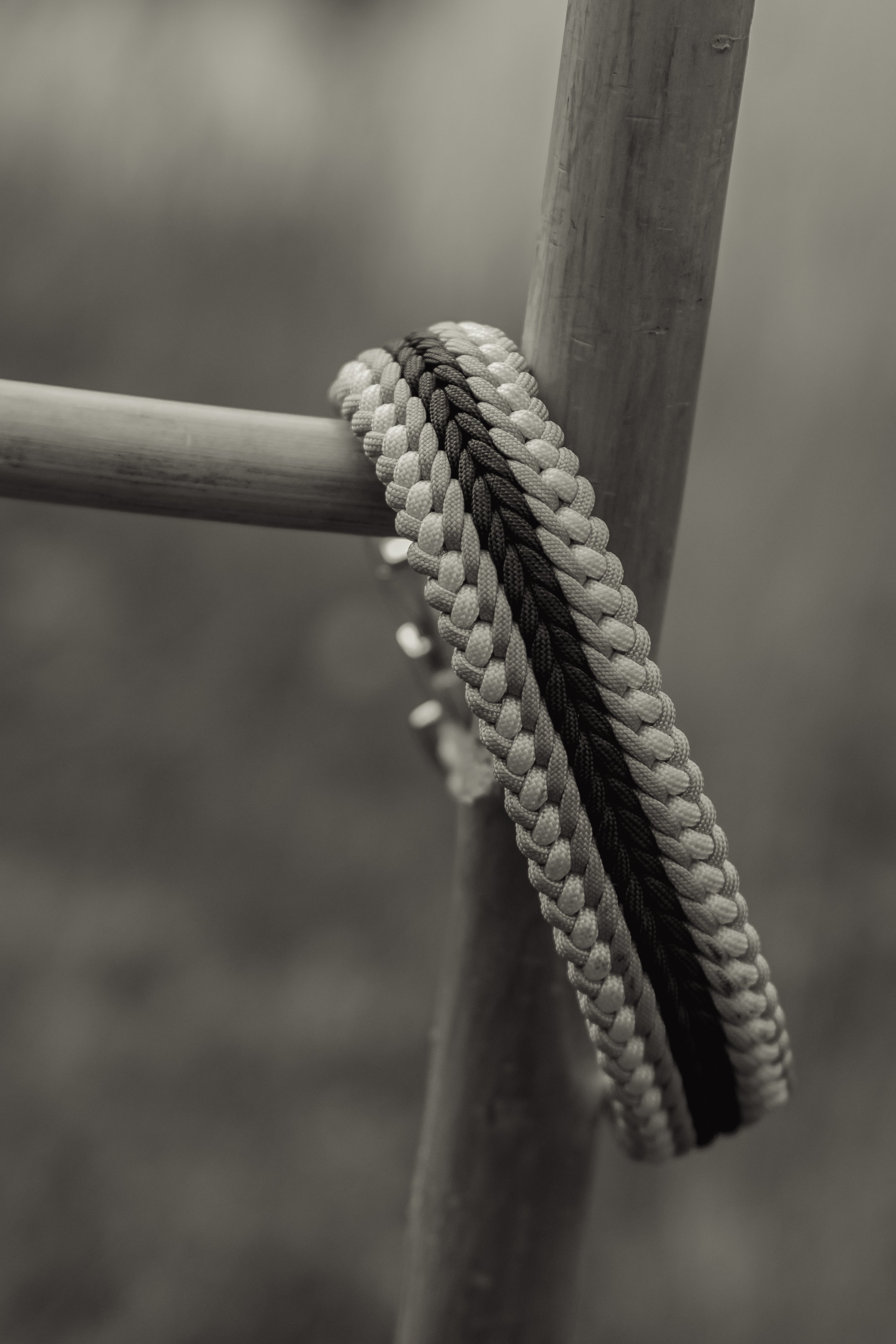 Paracord Halsband "Ranger" (ca. 3,7cm breit)