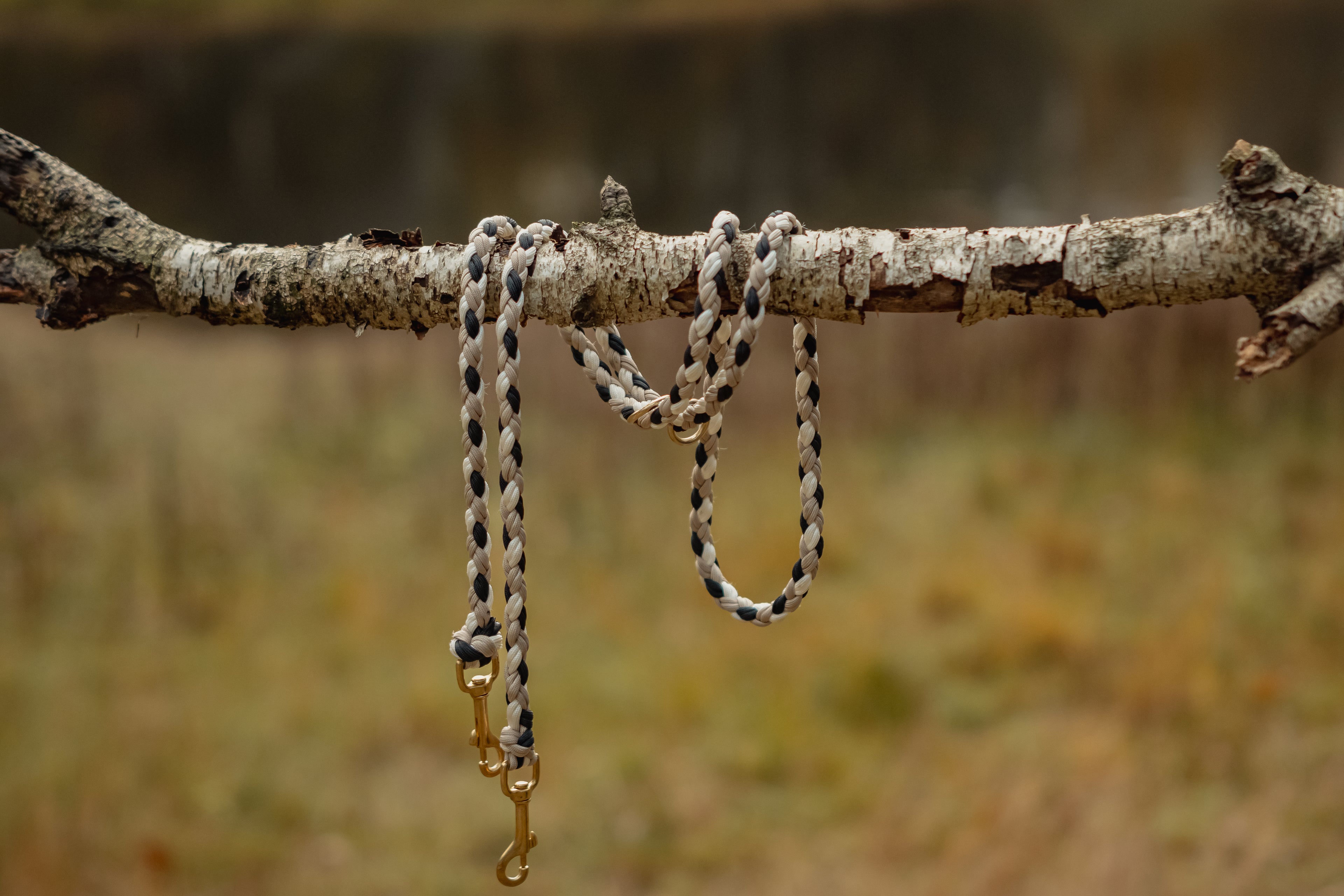 Paracord Leine "Ranger"