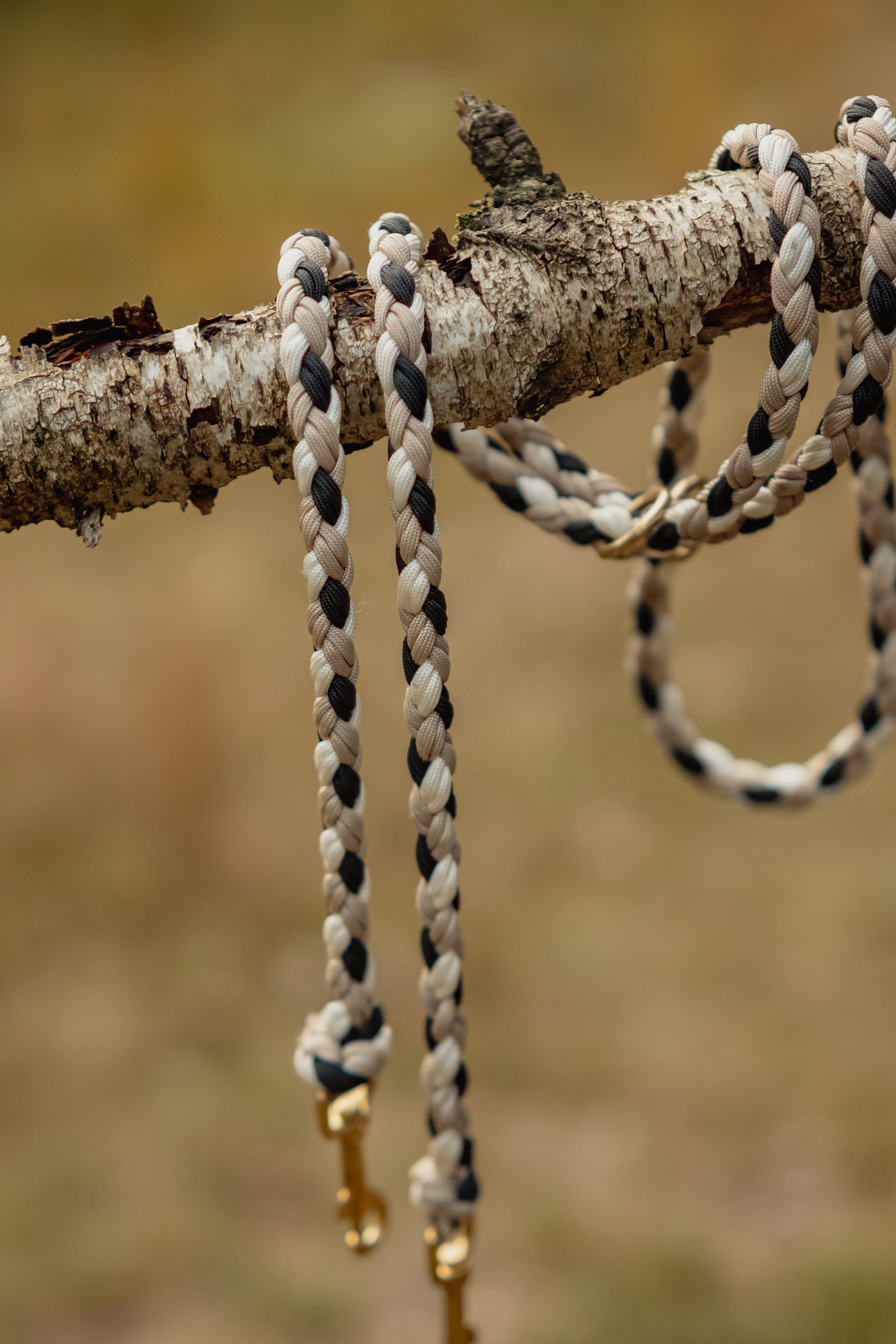 Paracord Leine "Ranger"