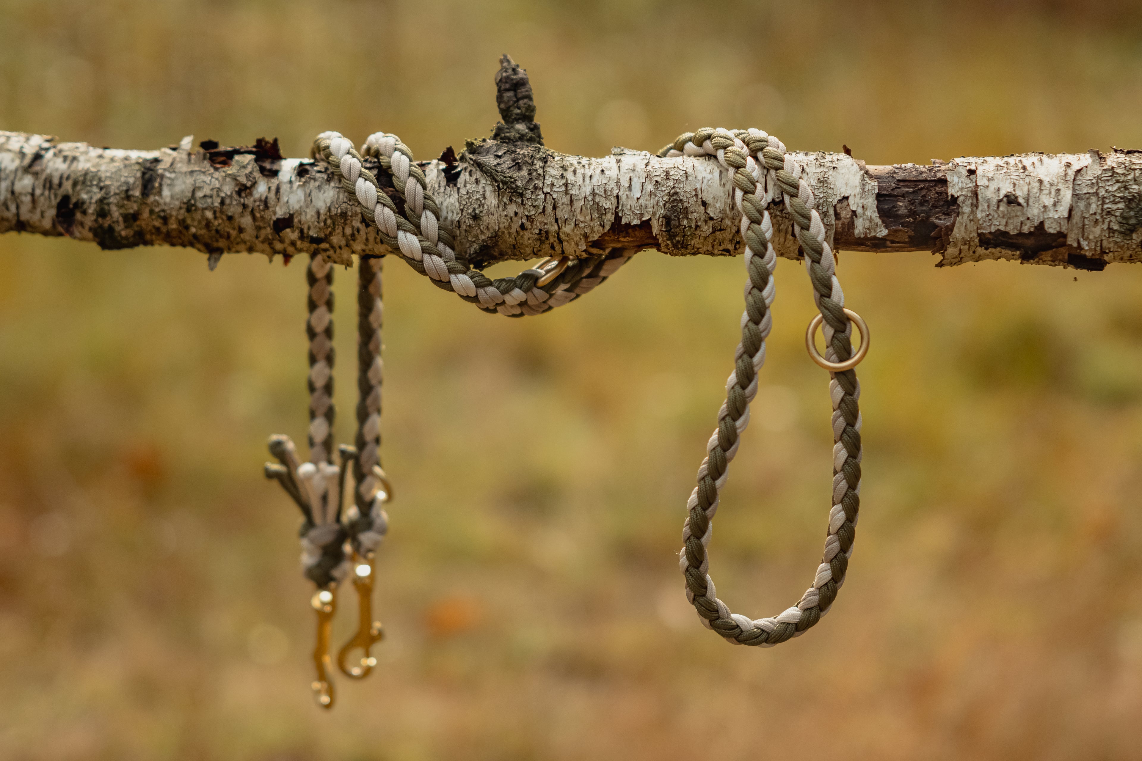 Paracord Leine "Oak"