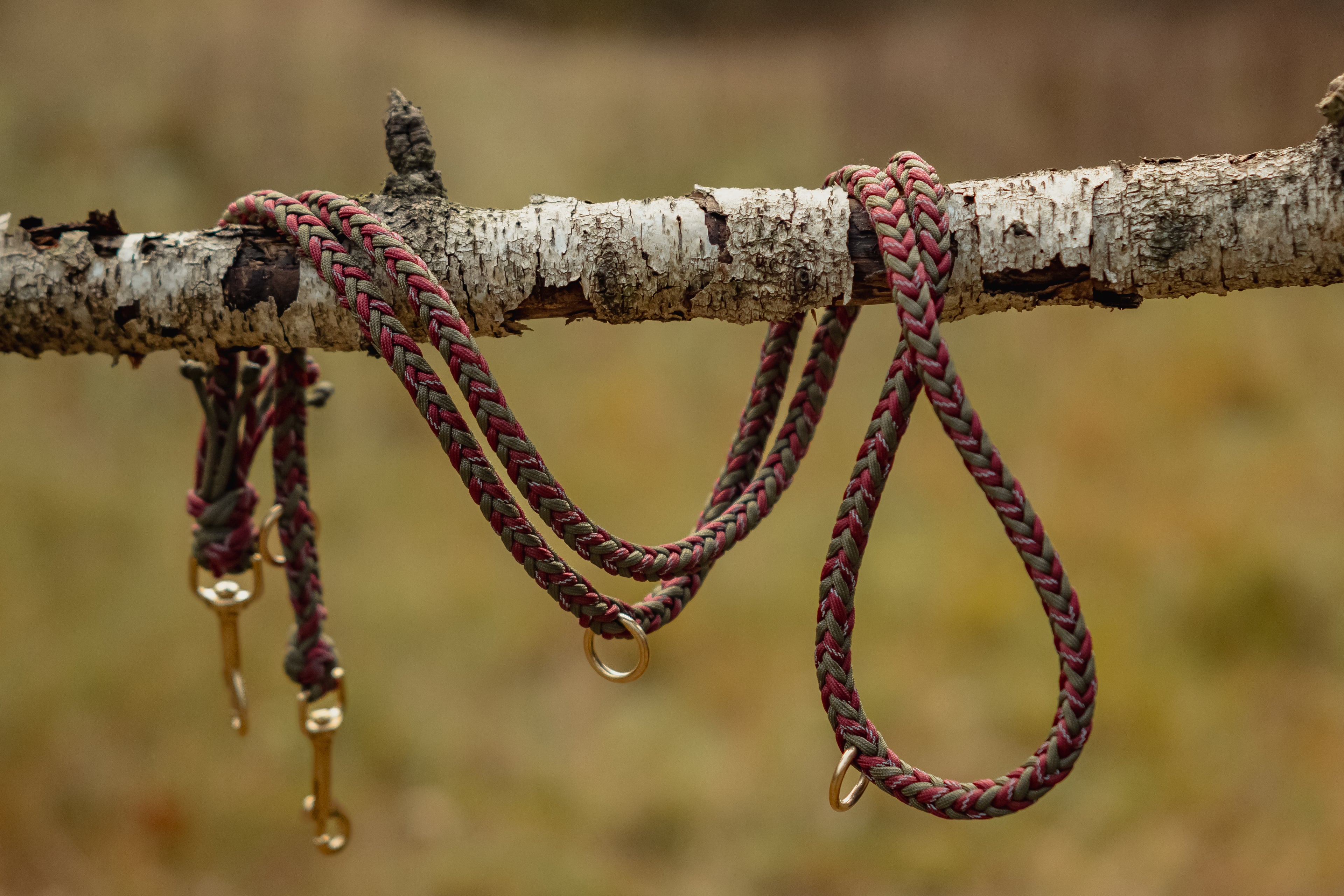 Paracord Leine "Chestnut"