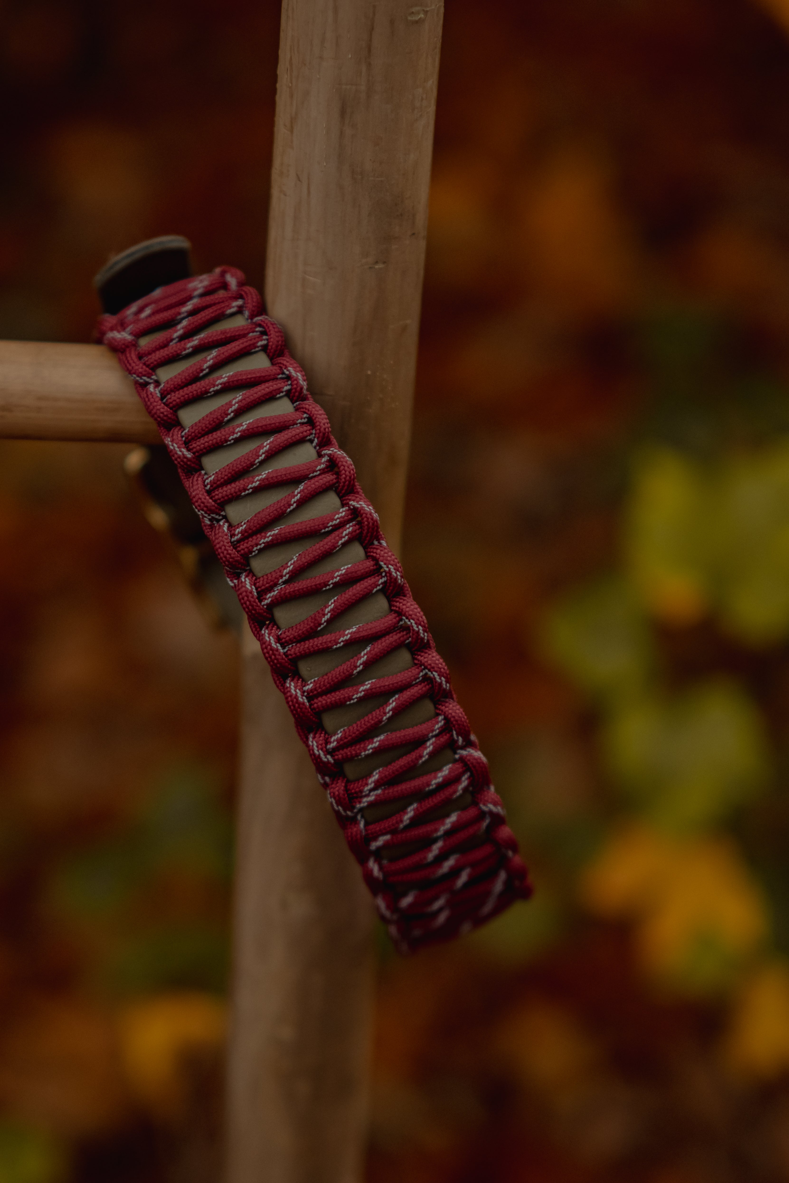 Biothane Halsband "Terra"