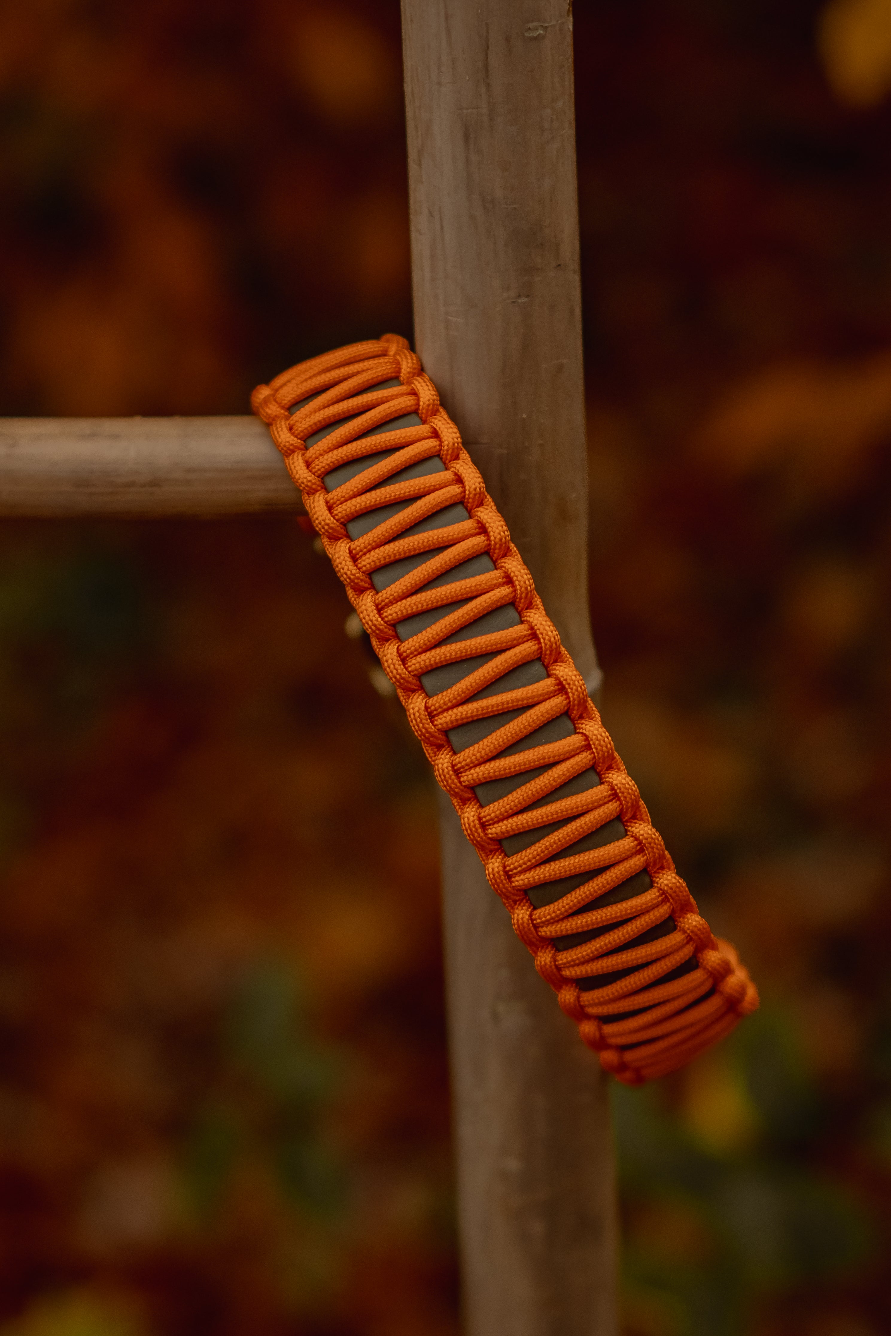 Biothane Halsband "Blaze"