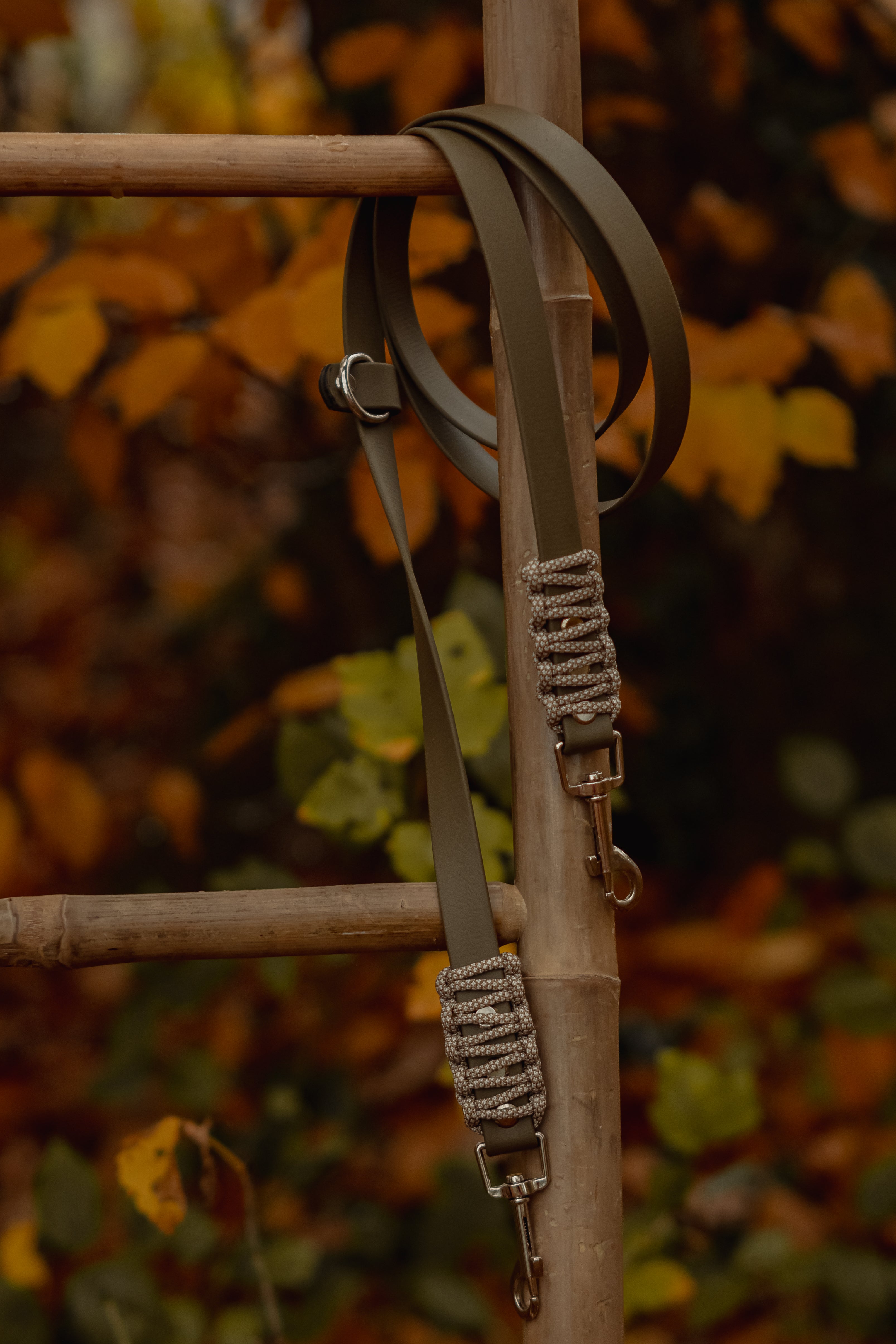 Biothane Leine "Stone"