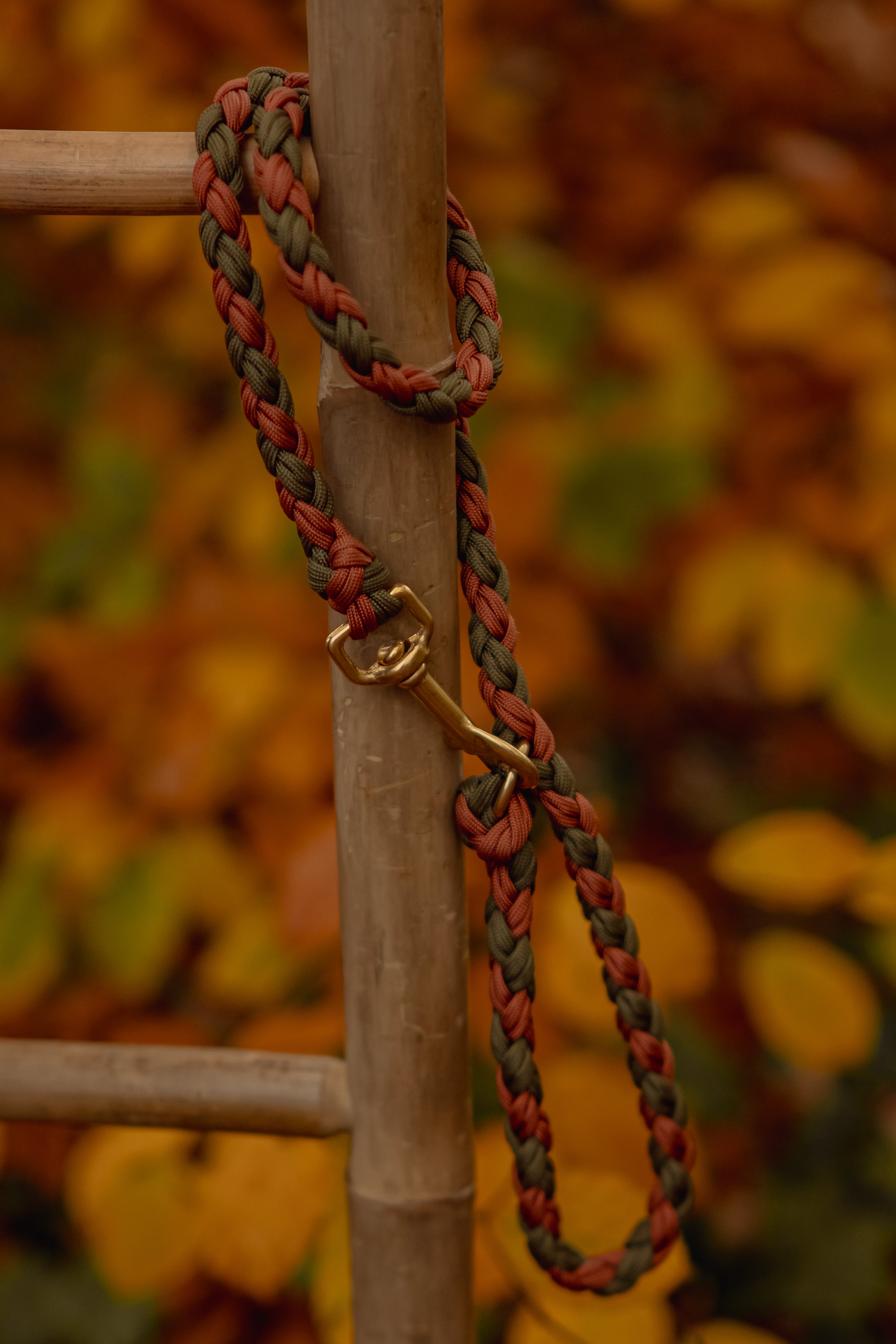 Paracord Leine "Herbstpfad"