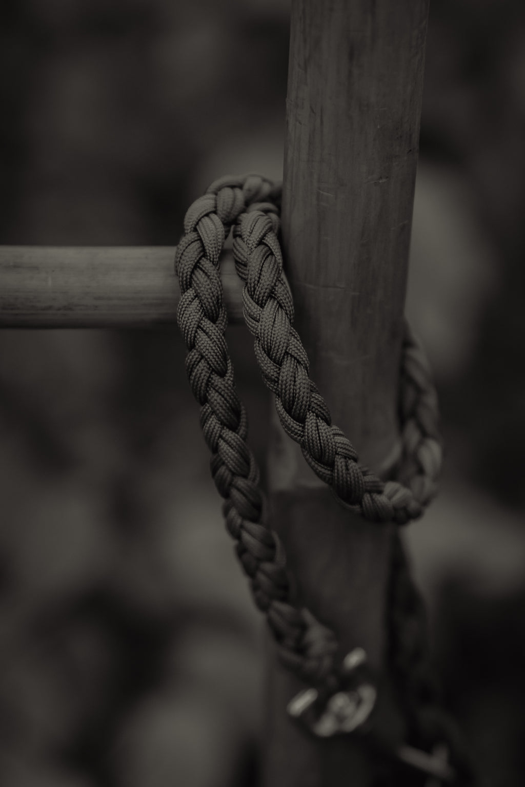 Paracord Leine "Herbstpfad"