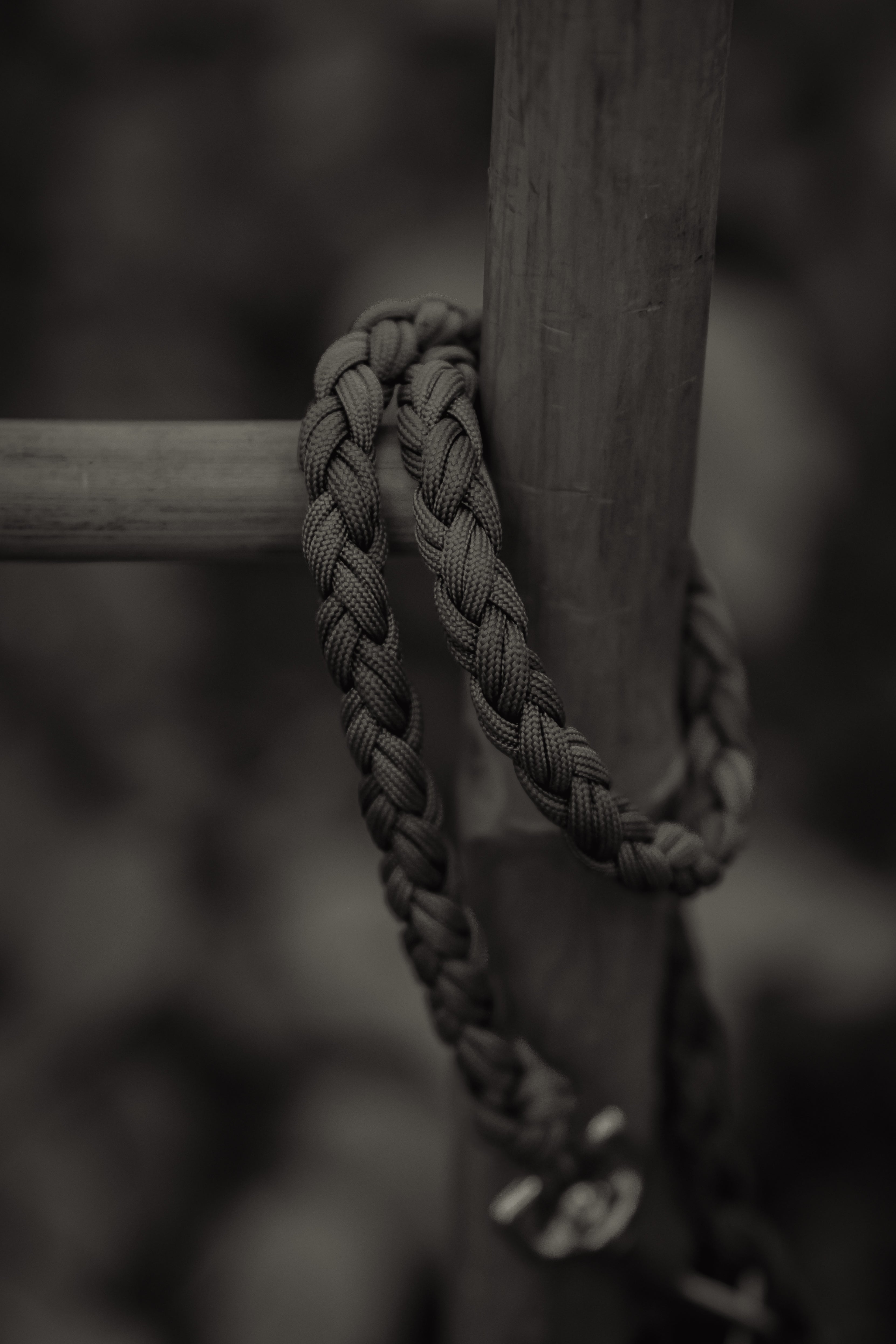 Paracord Leine "Herbstpfad"