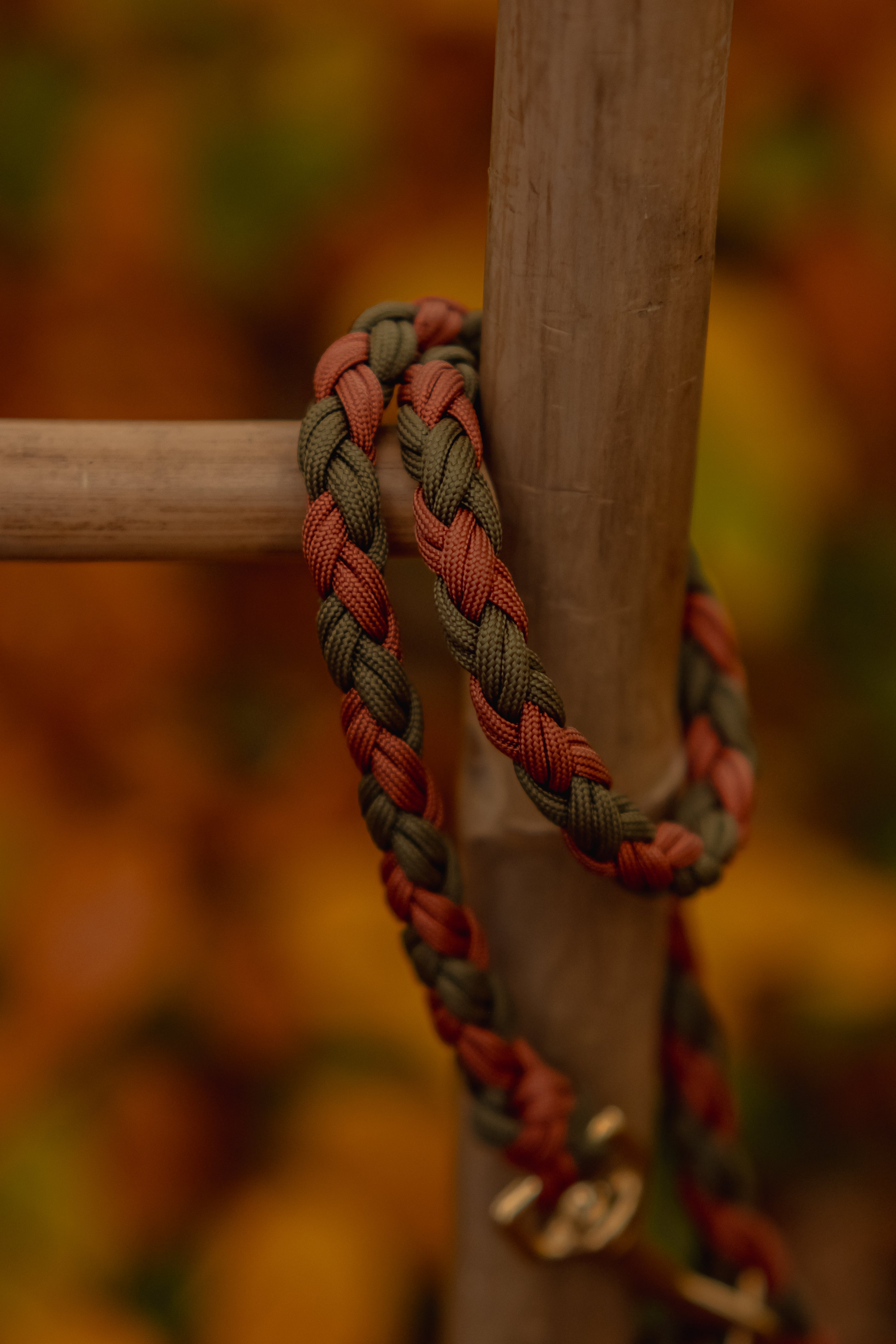 Paracord Leine "Herbstpfad"